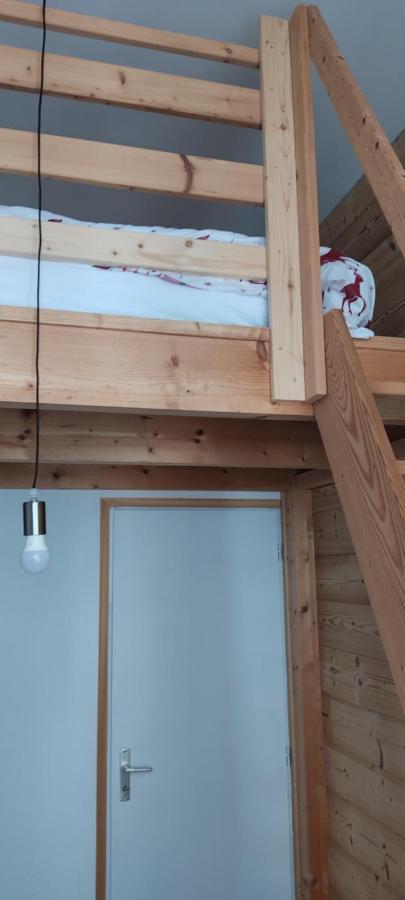 Le Petit Chalet De グルノーブル エクステリア 写真